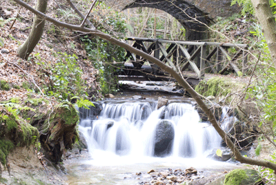 Bridge, Maspie Den, Falkland