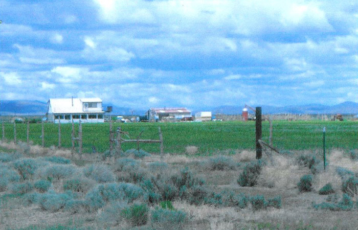 Image description
