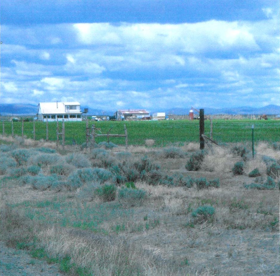 Image description