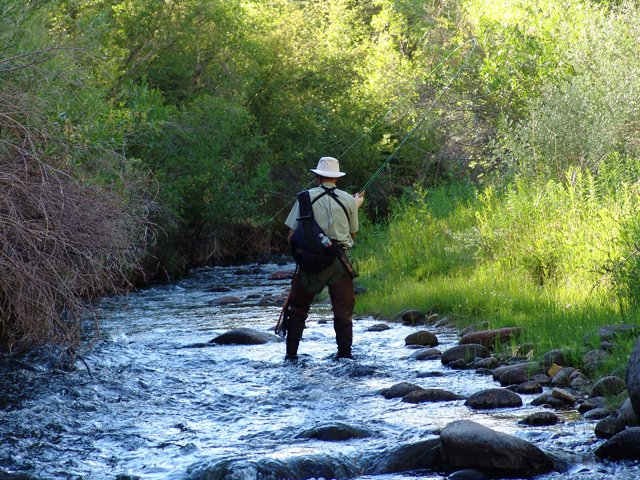 a photo of a Boulder Mountain stream