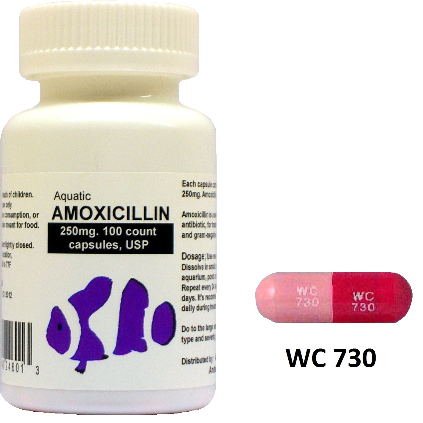 Amoxicillin 250 Mg