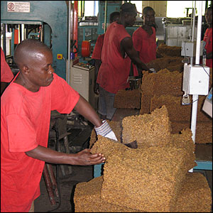 Image description