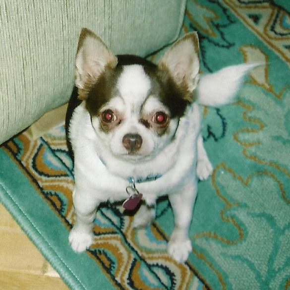 Image description