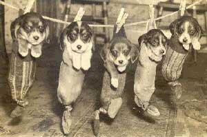 Image description