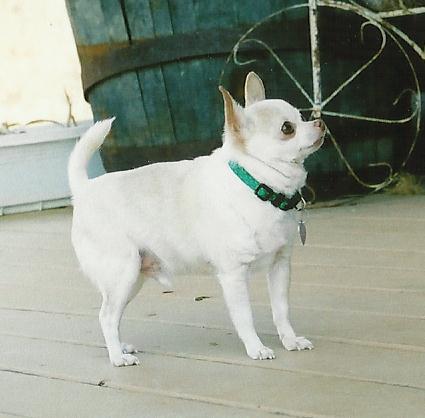 Image description