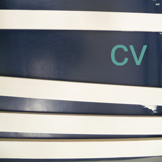 Artist statement & CV