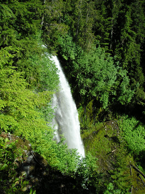 Denman Falls along St. Andrews Creek