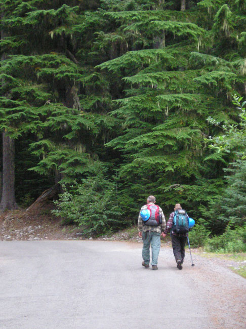 Volunteers heading out to work.
