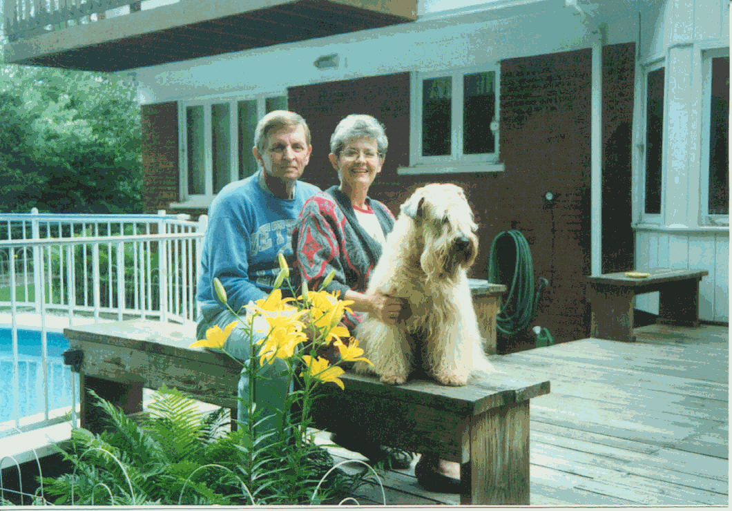 Image description