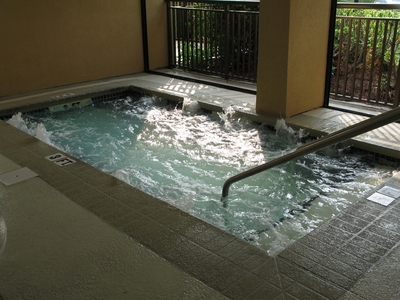 Holiday Inn at the Pavilion whirlpool/ hot tub