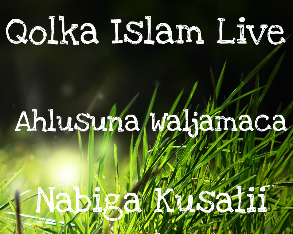 Qolka islam live ahlusunna waljamaca nabiga kusali