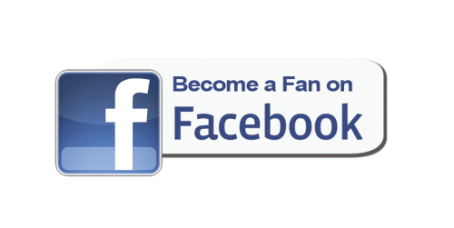 facebook button