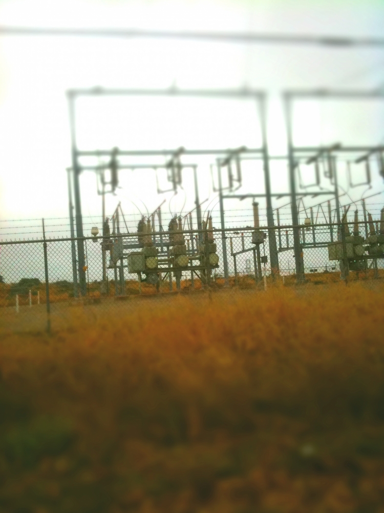 Image description
