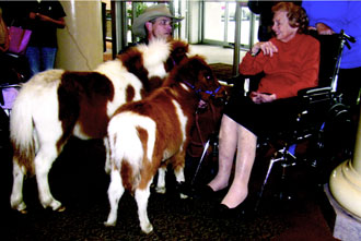 Image description