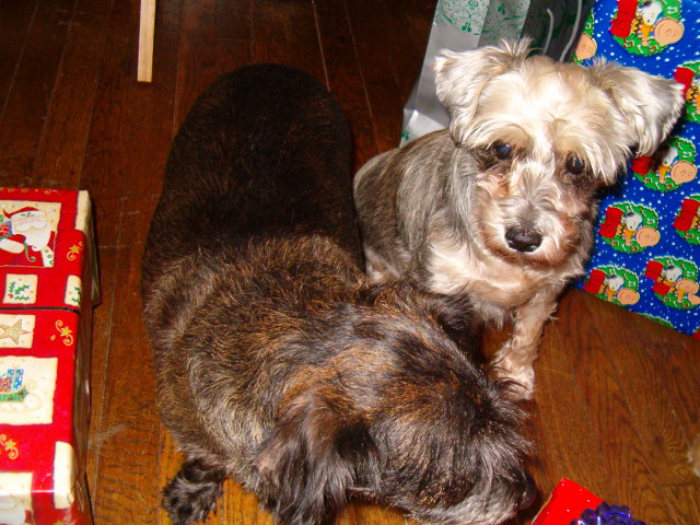Holly and Caleb