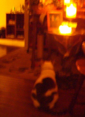 Tabitha one week after Bill passed away.