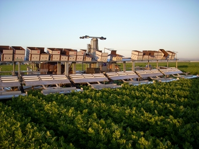 The trays on this celery machine are made of  aluminum for light weight and have rounded corners for worker safety.