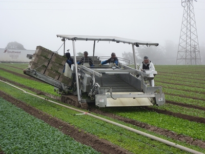 Spinach harvester has many systems but has minimal electronics to maximize reliability