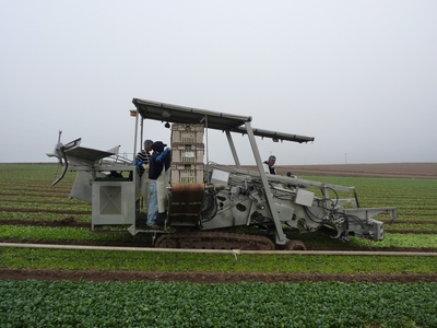 Attention to food safety was important in the design of this spinach harvester.