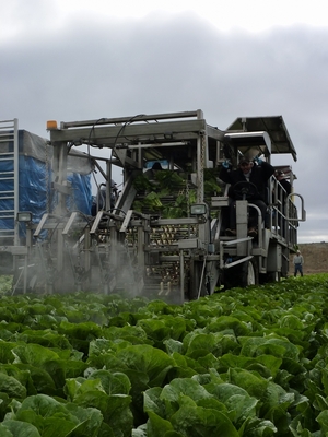 This waterjet harvester is designed  accomodates a wide variation in bed flatness and furrow depth in order to prevent sacrificing yield.