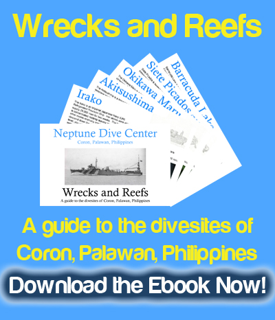 Download the only Ebook of divesites in Coron, Palawan, Philippines!