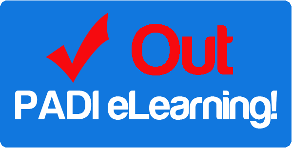 Learn about PADI eLearning and start your training before you arrive in Coron!