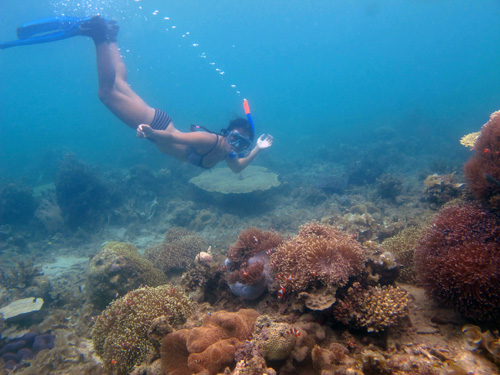 Snorkeling