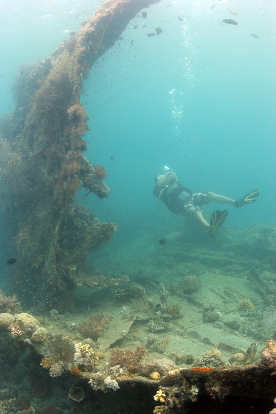 Diver at the Lusing Gunboat