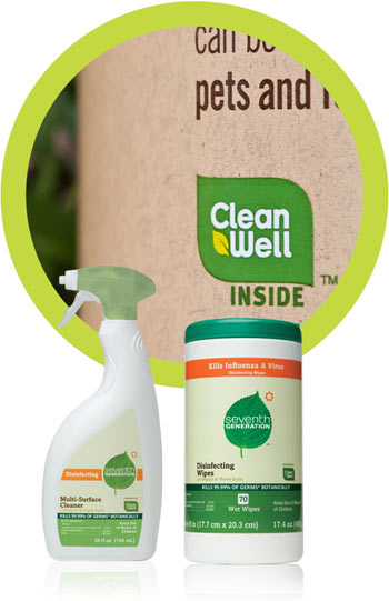 clean well inside