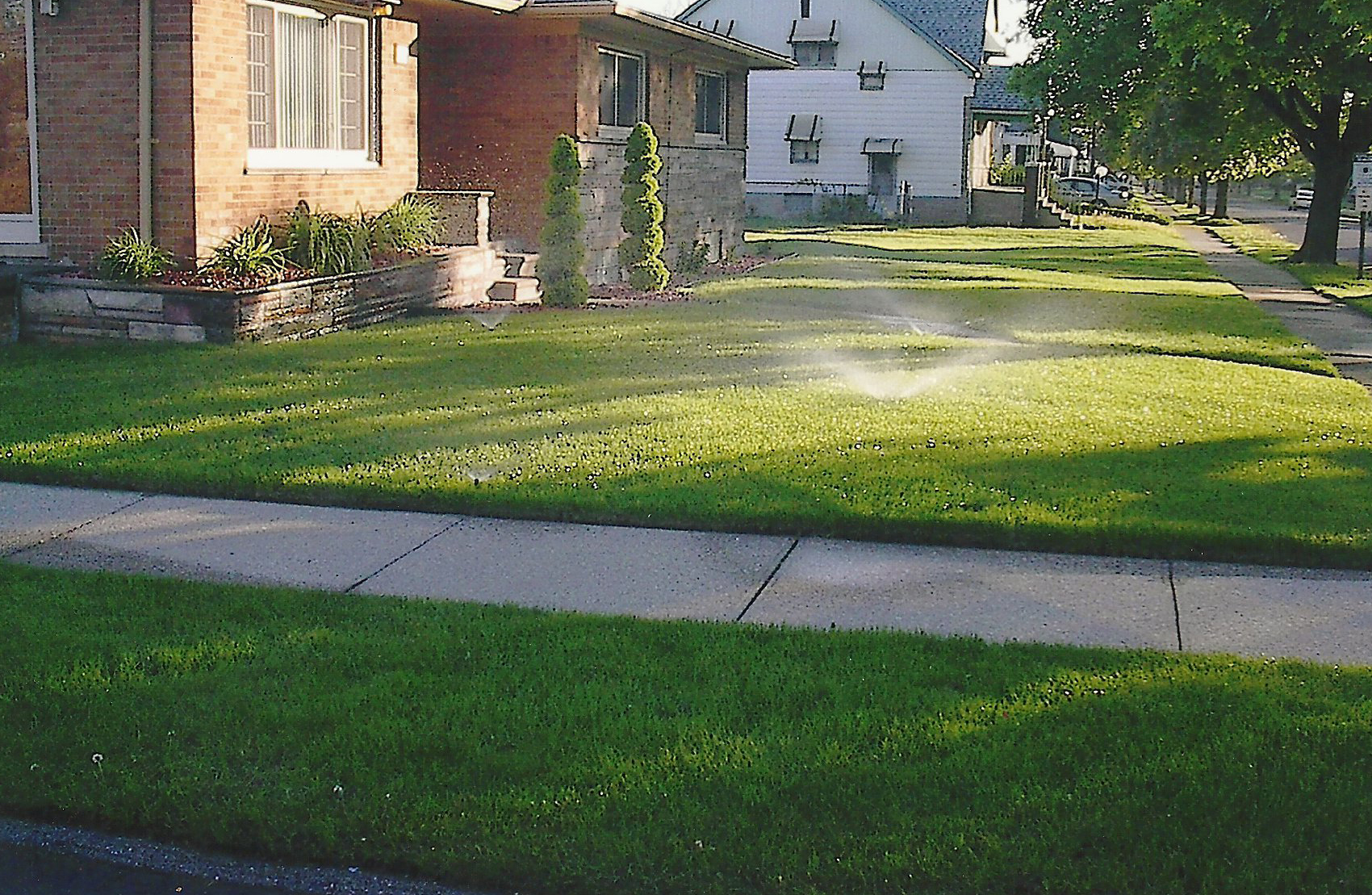 Image description