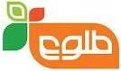 Tolo TV