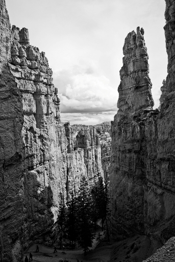 bryce canyon black dating site The oldest known clone in existence is called pando and is located in the fishlake national forest north of bryce canyon national park in central utah it has been aged at 80,000 years although 5-10,000 year-old clones are much more common, even these youngsters are much older than sequoias and even bristlecone pines . bryce canyon black dating site The oldest known clone in existence is called pando and is located in the fishlake national forest north of bryce canyon national park in central utah it has been aged at 80,000 years although 5-10,000 year-old clones are much more common, even these youngsters are much older than sequoias and even bristlecone pines .