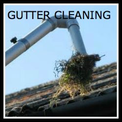 Gutter cleaning