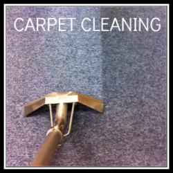 Office carpet cleaning