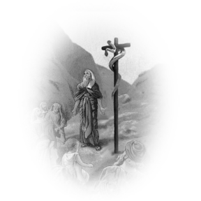 Image description