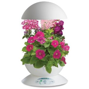 Aerogarden 3