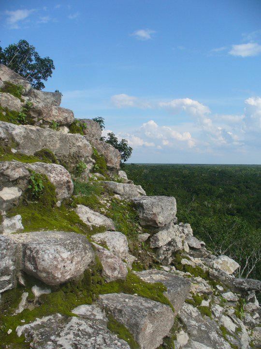 Image description