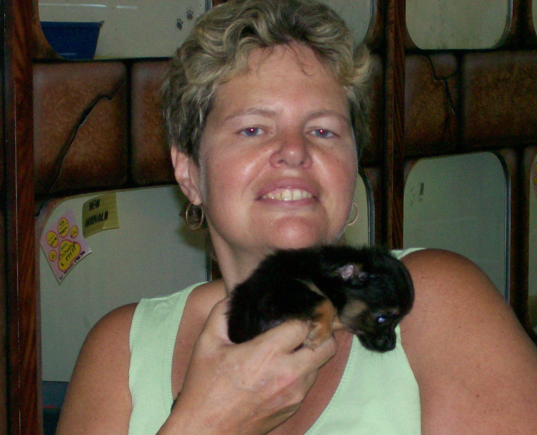Image description