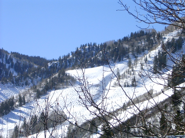 Image description