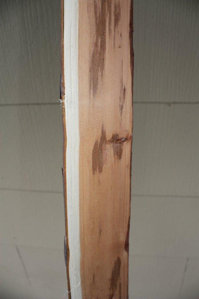 Premium Pacific Yew Stave