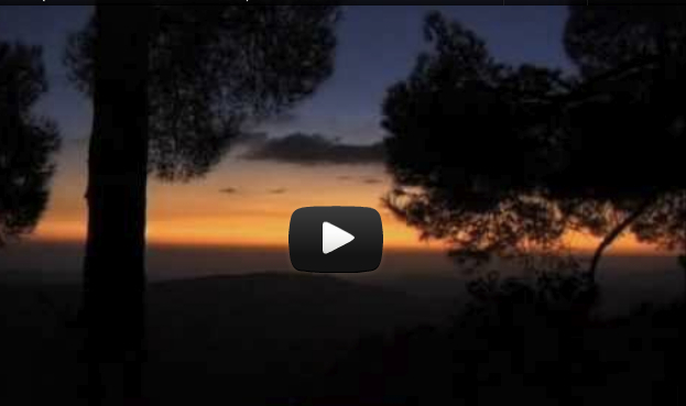 LIFE (OSHO Meditation Minutes)