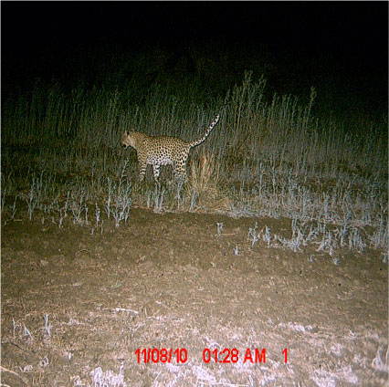 Image description