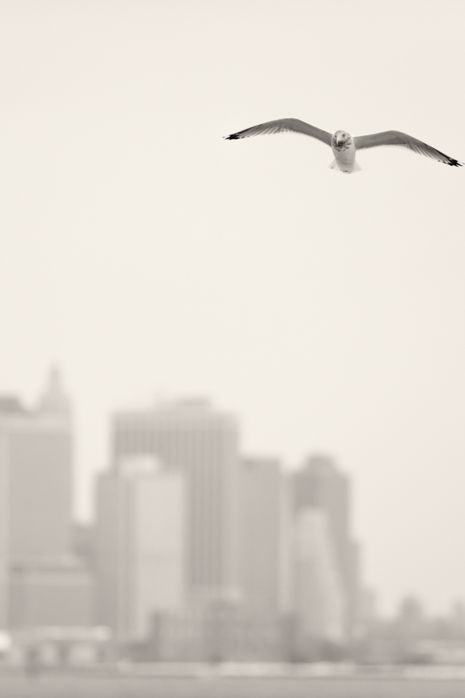 a classic romantic view of Manhattan