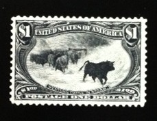 United States Cattle in the Storm
