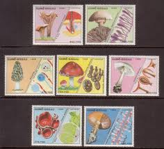 Guinea-Bissau Mushrooms Stamp Set