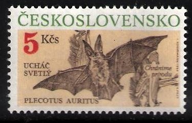 Czechoslovakia Bats