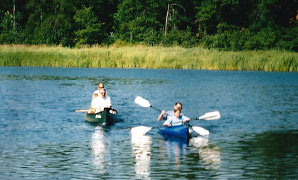 Image description