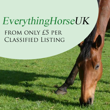 Horse, advertise from £5