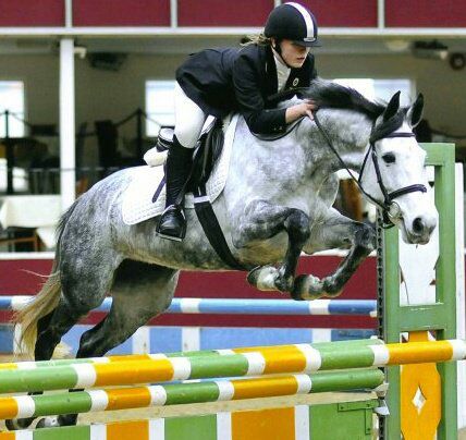 Hayley Compson, Showjumping