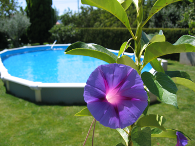 Above Ground Pool Care - Pool Advisory